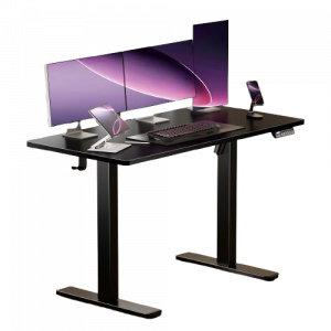 CHITOOMA Electric Standing Desk