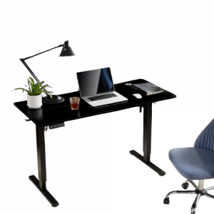 Electric Stand up Desk